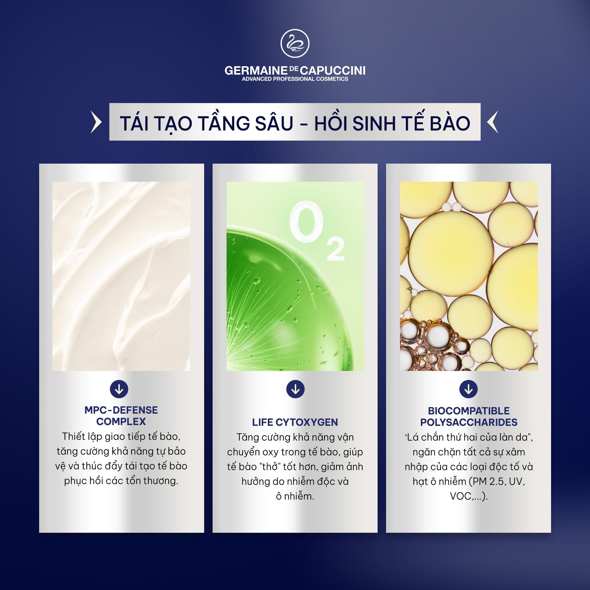 Thành phần excel therapy