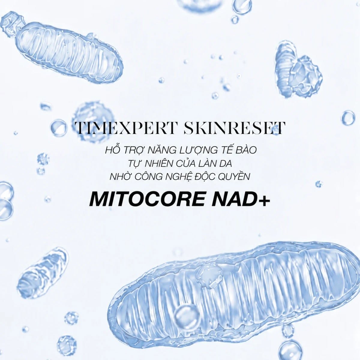 CÔNG NGHỆ MITOCORE NAD+™ – Nền tảng khoa học tạo nên giá trị chuyên môn